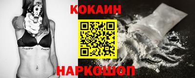 индика Можга