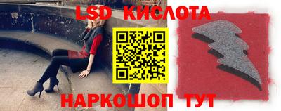 индика Можга