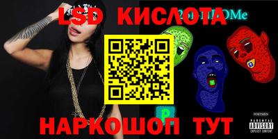 индика Можга