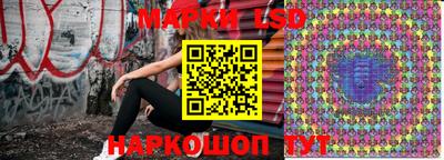 индика Можга