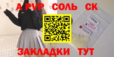 индика Можга