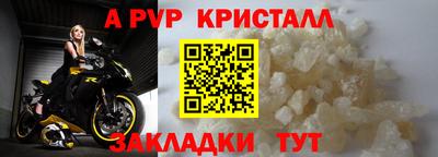 мяу мяу мука Малгобек