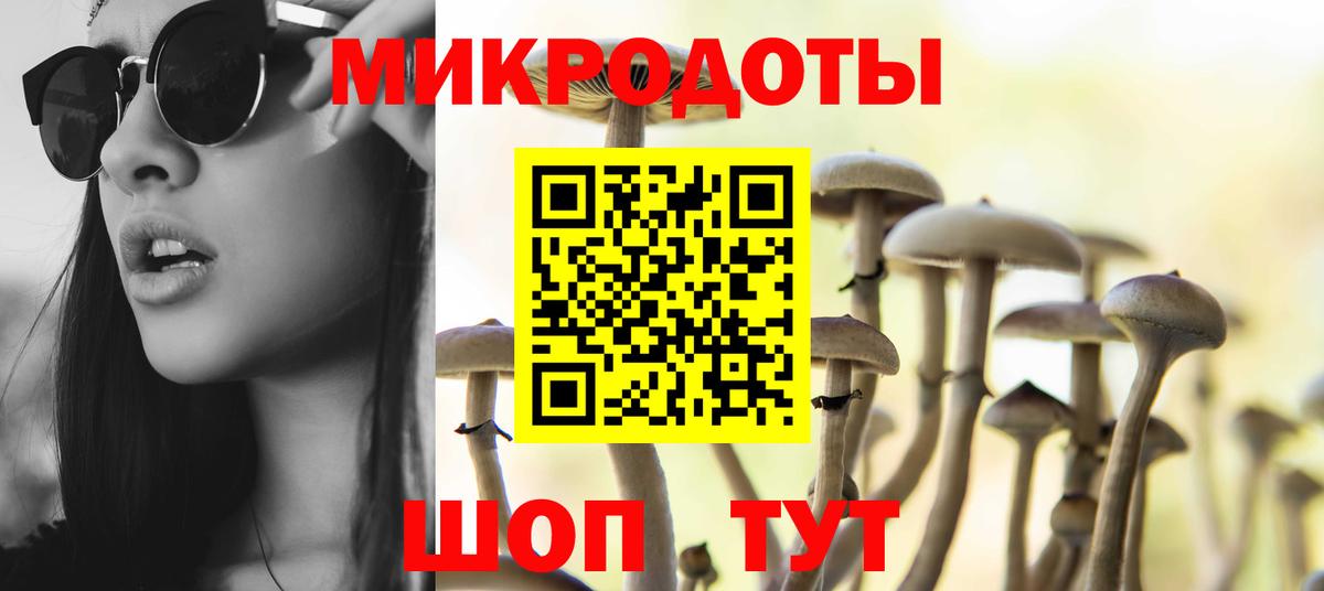 Электрогорск  магазин продажи   Вход с VPN  Псилоцибиновые грибы мицелий 